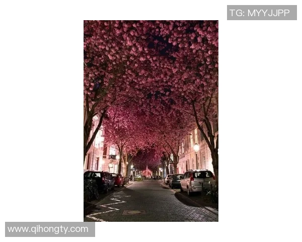 大阪樱花与东京FC激战正酣谁能在这场对决中笑到最后