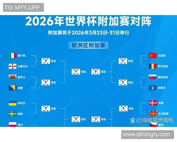 瑞士与北爱尔兰足球阵容分析及比赛前瞻